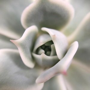 Meet your Posher, Caralyn